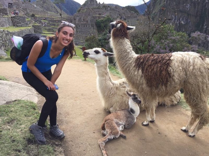 Volunteer in Peru Llama Love